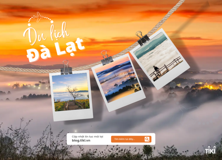 Top 10 địa điểm du lịch Đà Lạt đẹp nhất và kinh nghiệm du lịch tự túc A-Z