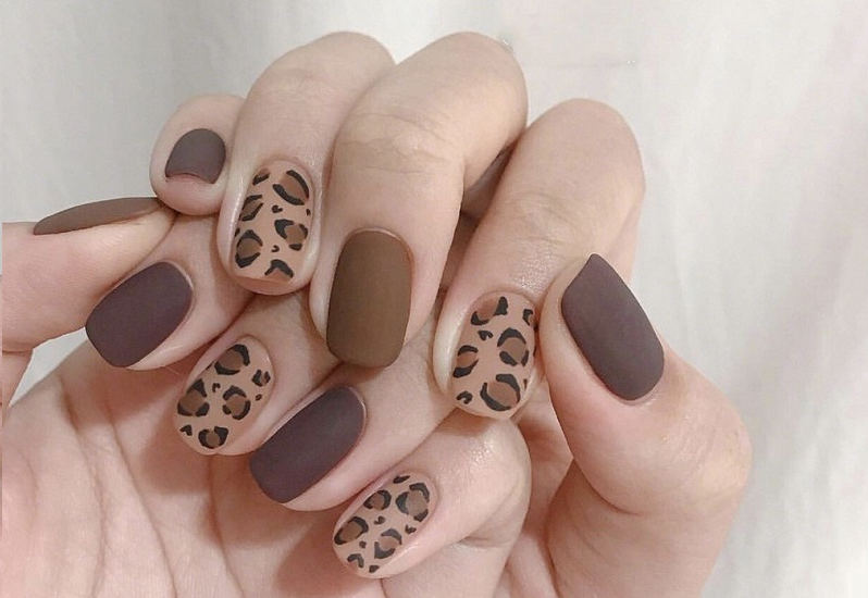 Nail box da báo