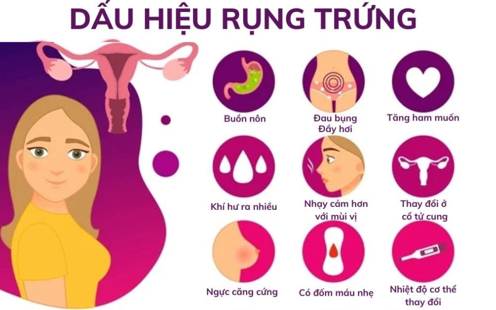 Dấu hiệu rụng trứng