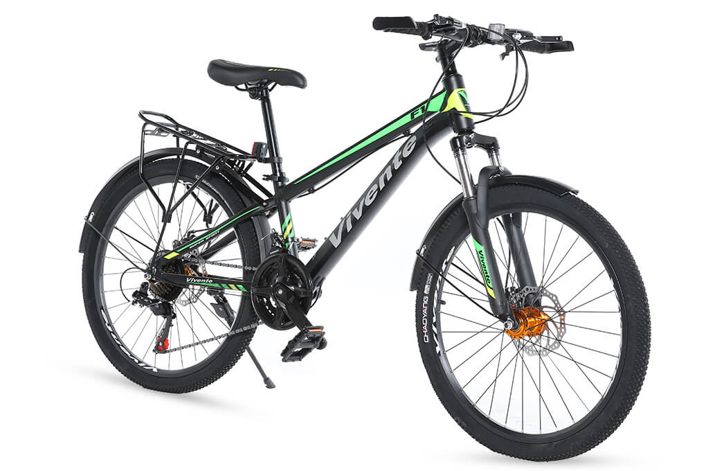 Xe đạp thể thao MTB Vivente 24F1 24 inch