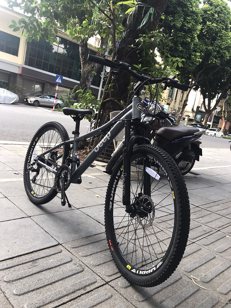 Xe đạp thể thao nữ LadyBike Jeep