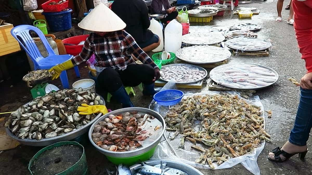Hải sản chợ Hàm Ninh