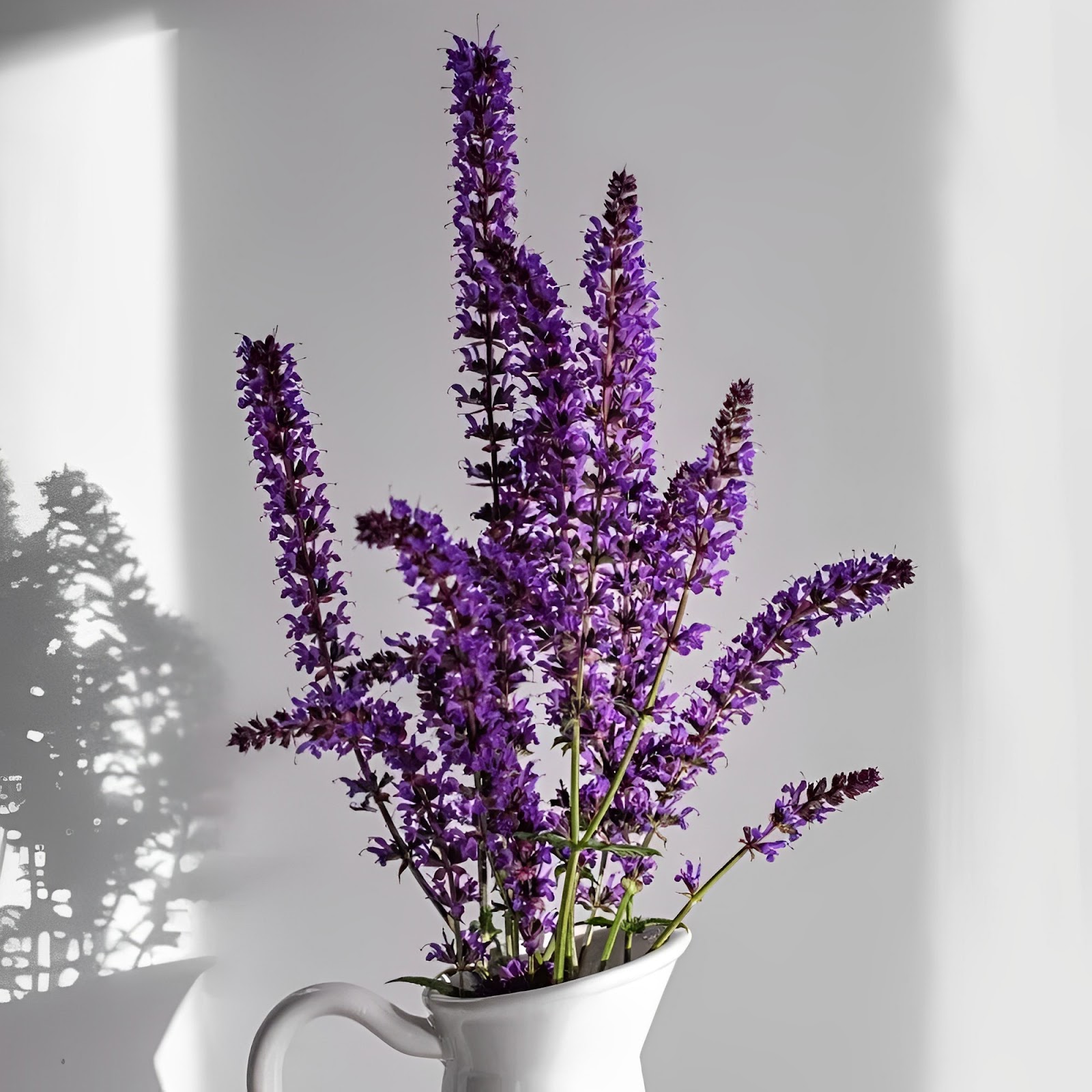 Lavender luôn là sự lựa chọn tuyệt vời để làm hoa tặng người yêu