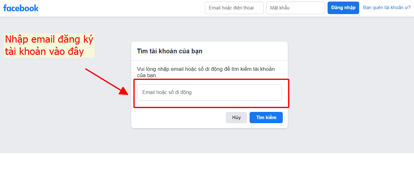 Nhập email đăng ký của bạn vào hộp tìm kiếm