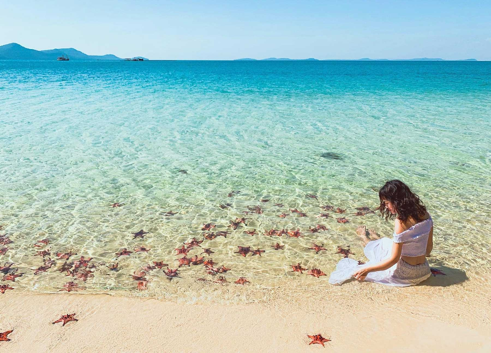 Sao biển luôn tụ họp tại Bãi Sao cực kỳ nhiều