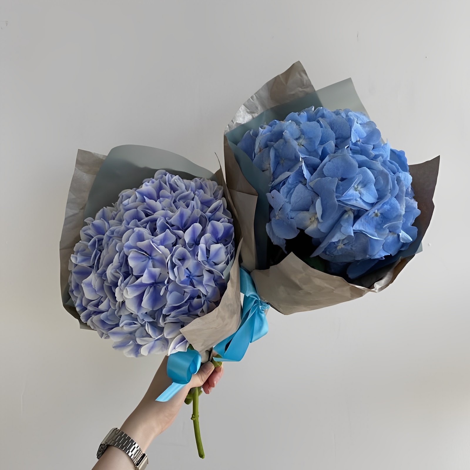 Hoa cẩm tú cầu xanh tặng người yêu tuyệt đẹp