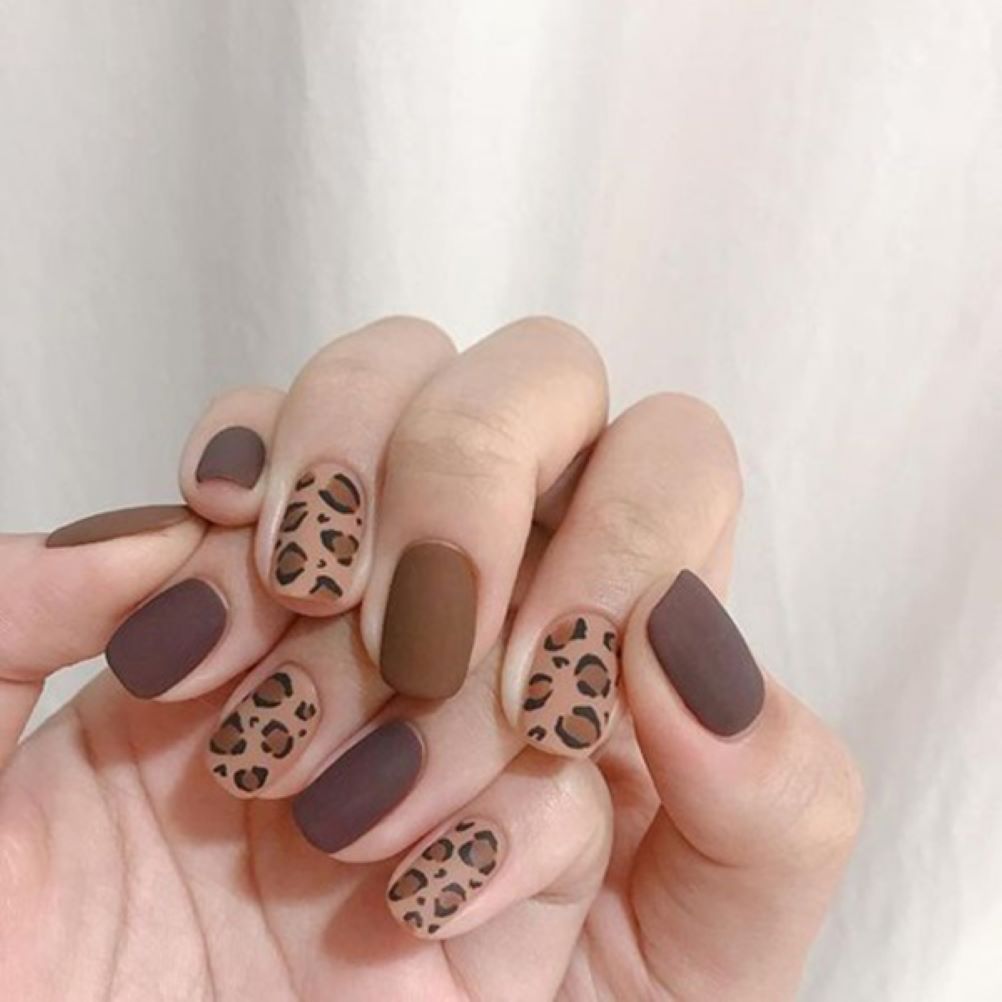 Bộ nail màu nude da báo 