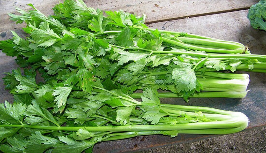 Rau cần tây chứa nhiều chất xơ và ít calo