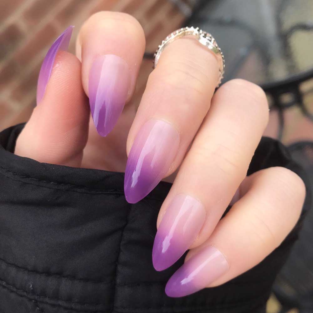 Màu tím được lựa chọn để với nhiều gam màu khác nhau như hồng nhạt