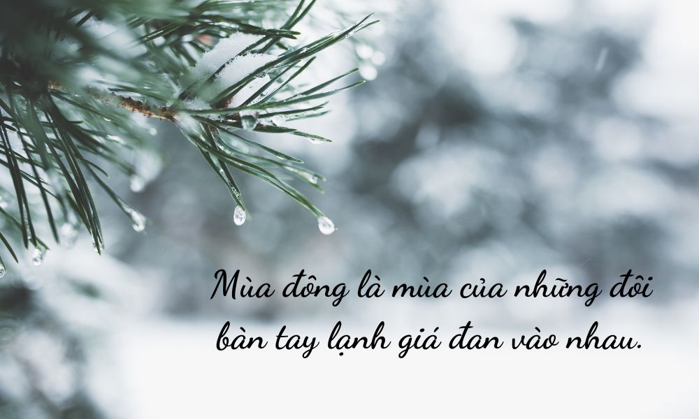 70+ Caption, Stt Mùa Đông Hay, Hài Hước Và Ý Nghĩa | Tiki