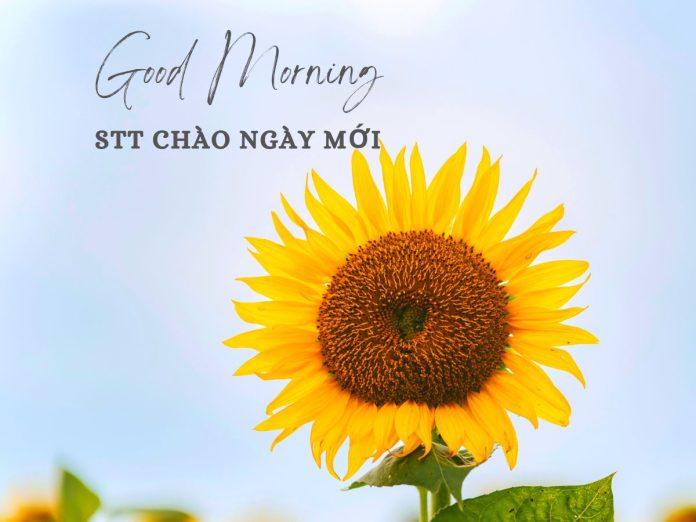 80 STT Chào Ngày Mới Hay, Hài Hước, Tràn Đầy Năng Lượng | TIKI 80 Stt Chào Ngày Mới Hay, Hài Hước, Tràn Đầy Năng Lượng | Tiki