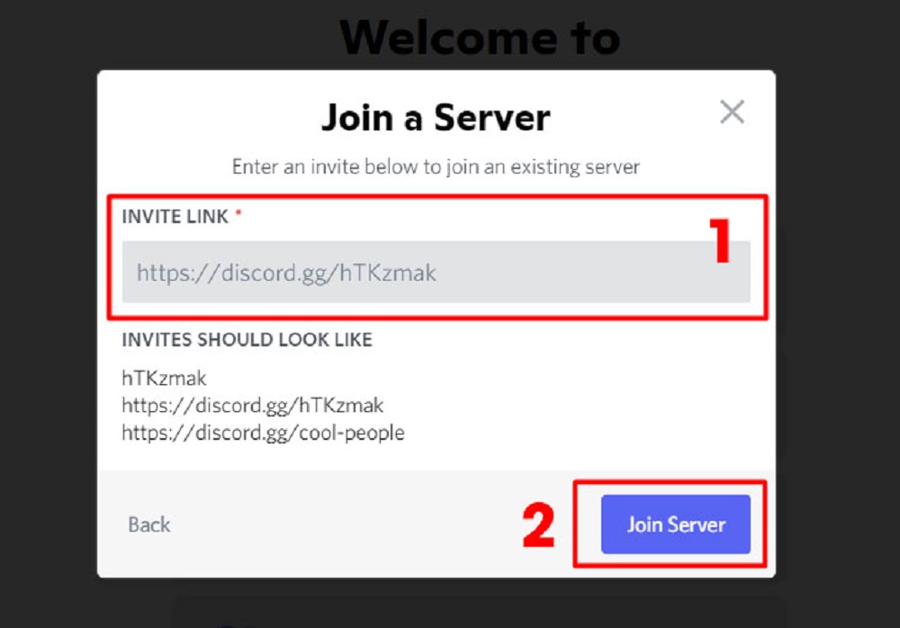Nhập link server mà bạn muốn tham gia