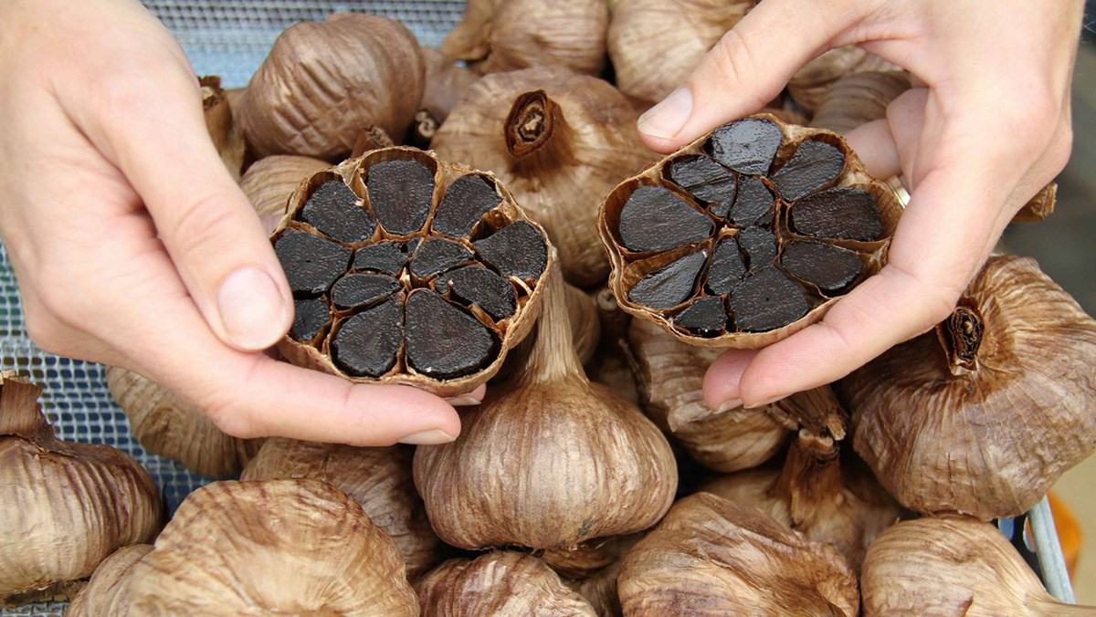 Những lưu ý khi sử dụng tỏi đen
