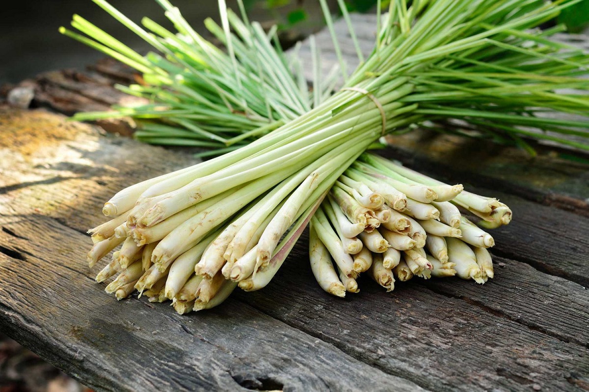 Làm thế nào vệ sinh tủ lạnh hết mùi được nhanh chóng đây? 10 Sử dụng sả tươi để khử mùi