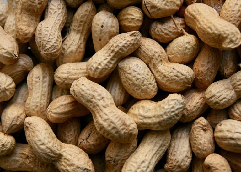 Ăn lạc có béo không? Cách ăn lạc để giảm cân hiệu quả