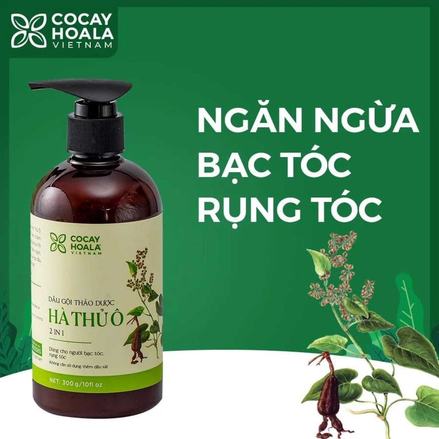 Dầu gội Hà Thủ Ô 2 trong 1 giúp ngăn ngừa rụng tóc và làm chậm quá trình bạc tóc