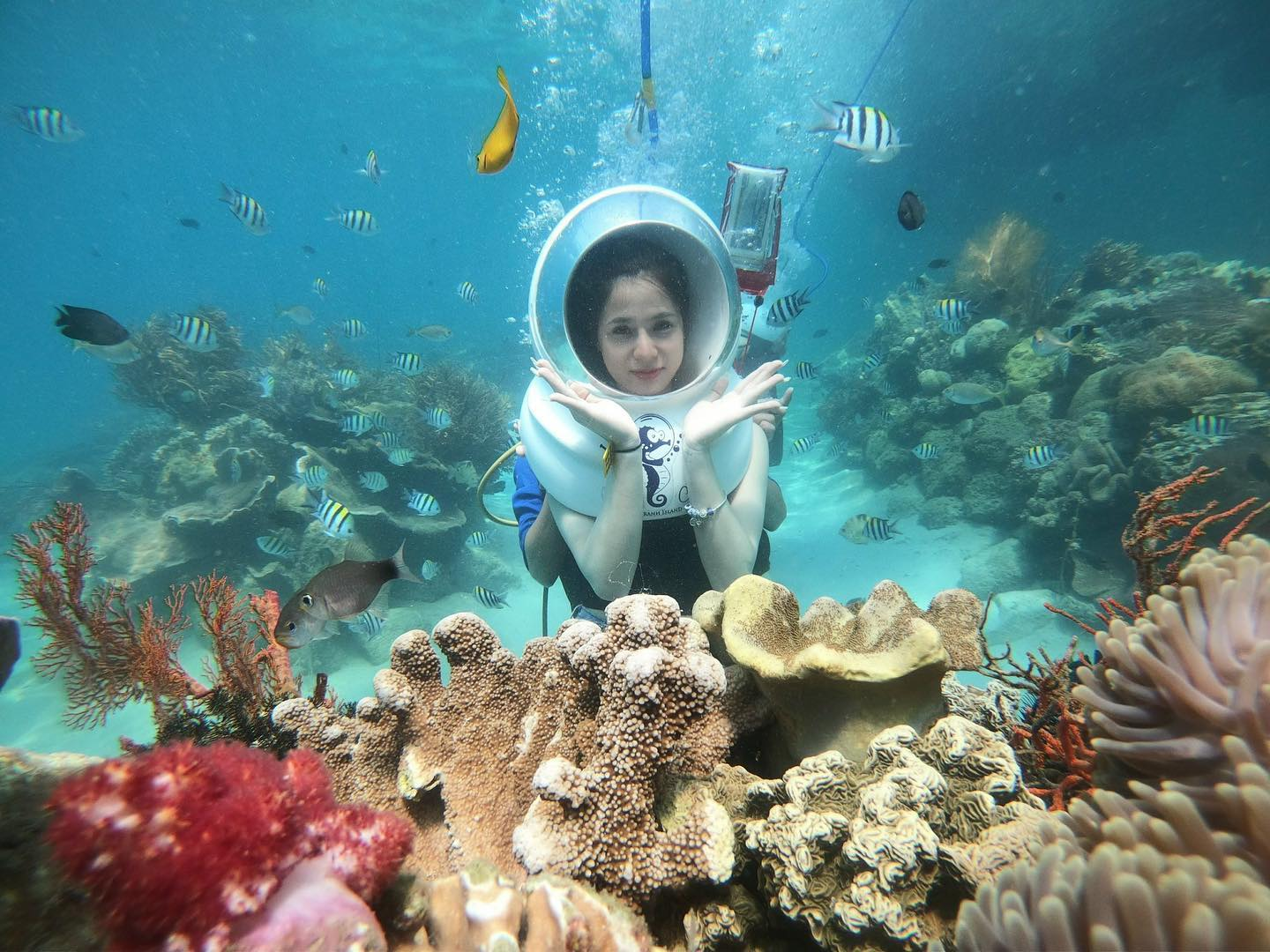 Lặn ngắm san hô là một trong những hoạt động vui chơi được đông đảo du khách yêu thích mỗi khi ghé thăm bán đảo Sơn Trà 