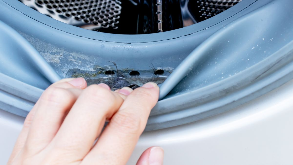 Giặt máy giặt thường xuyên để tránh bụi bẩn làm hỏng quần áo 