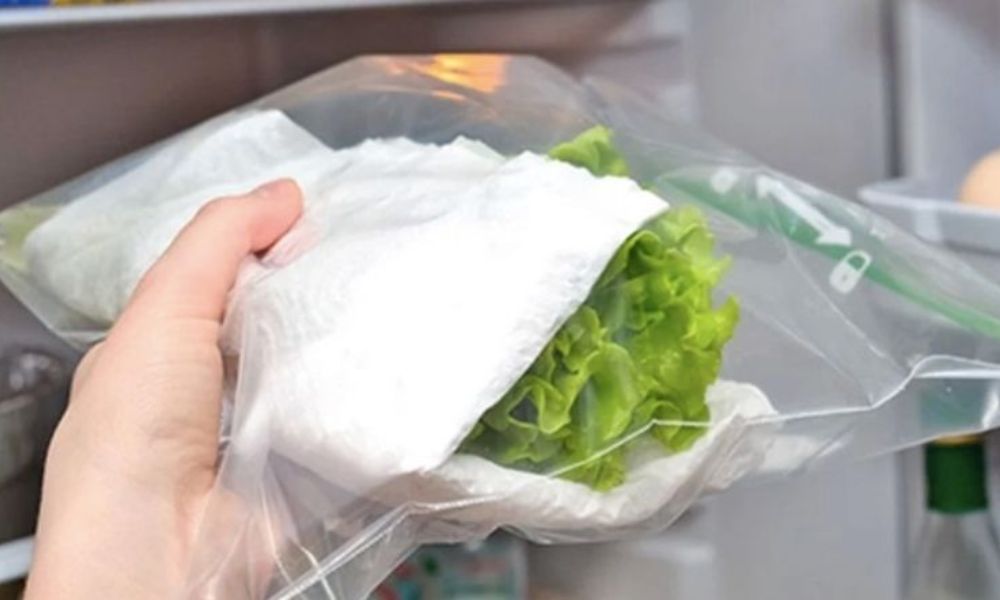 Làm thế nào để bảo quản rau xà lách trong tủ lạnh tươi lâu?