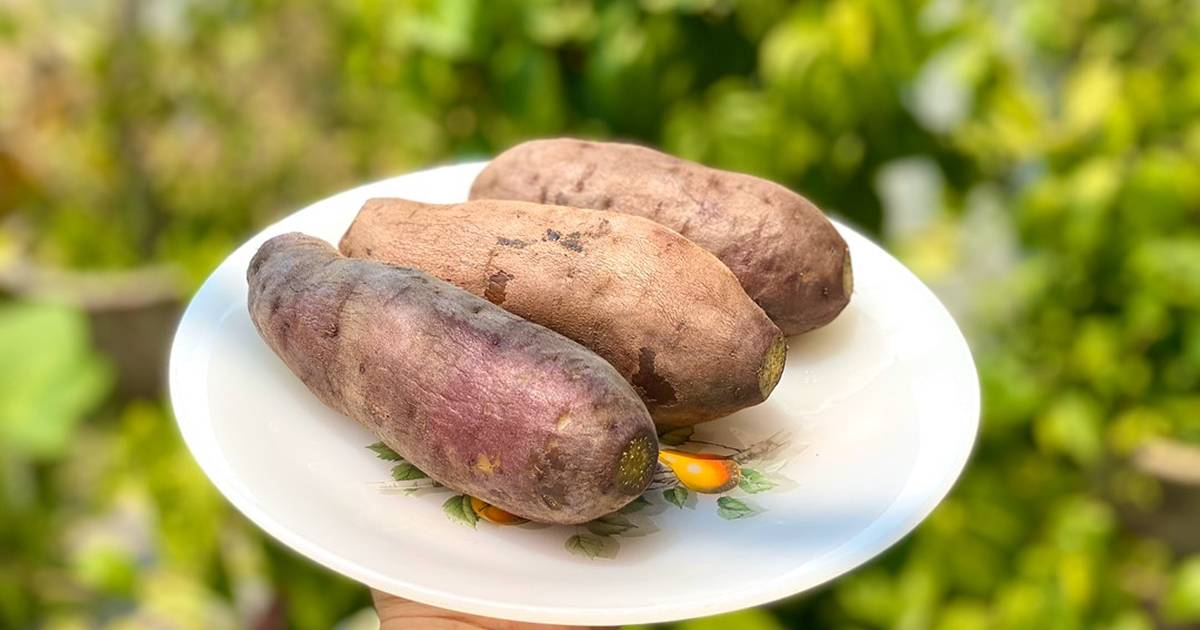 Ưu tiên chọn các củ khoai lang còn cứng và tươi