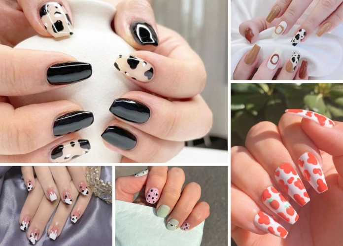 Nail bò sữa