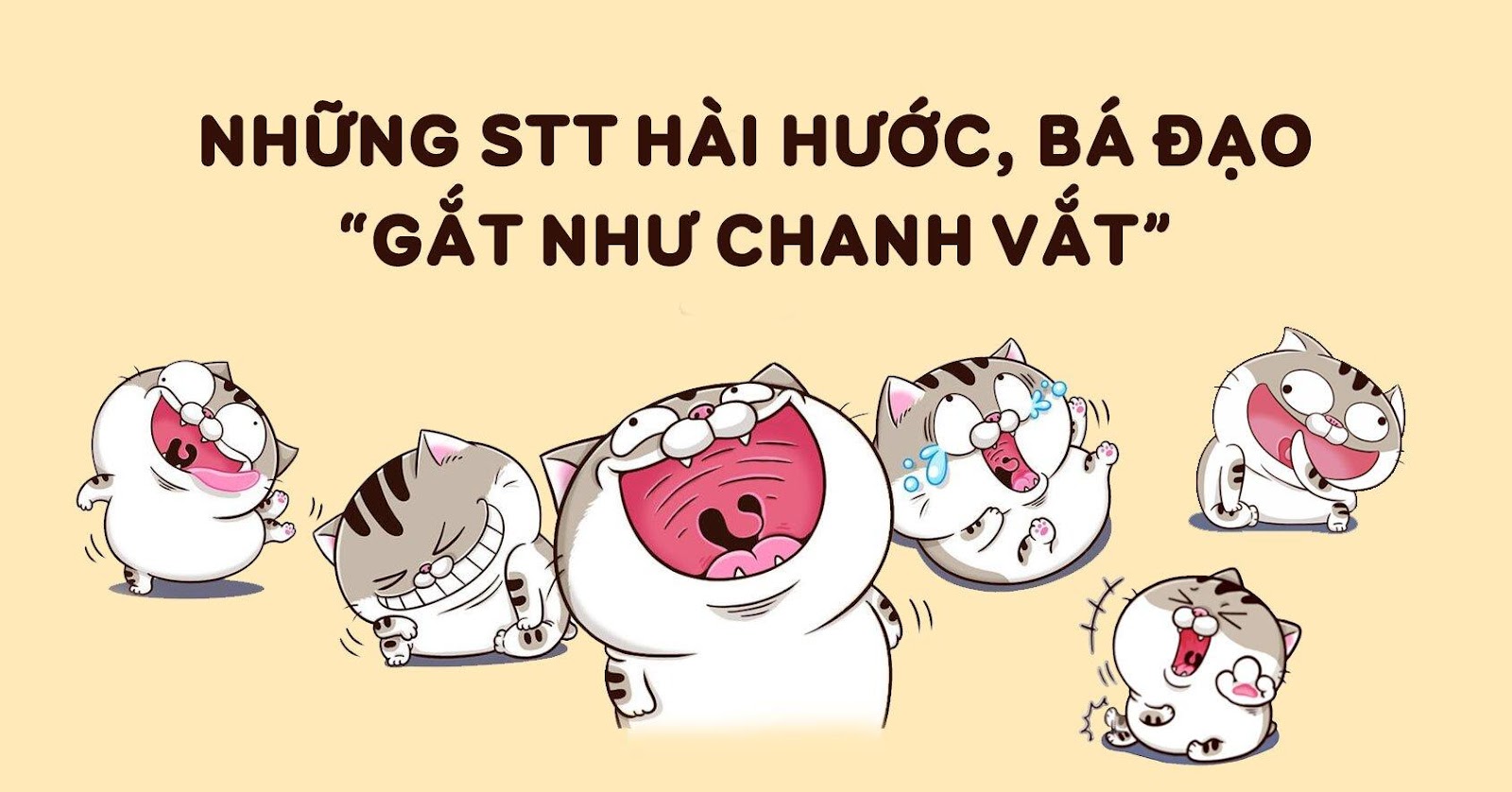 Tổng Hợp Stt Vui Khi Đăng Ảnh Thể Hiện Sự Yêu Đời | Tiki