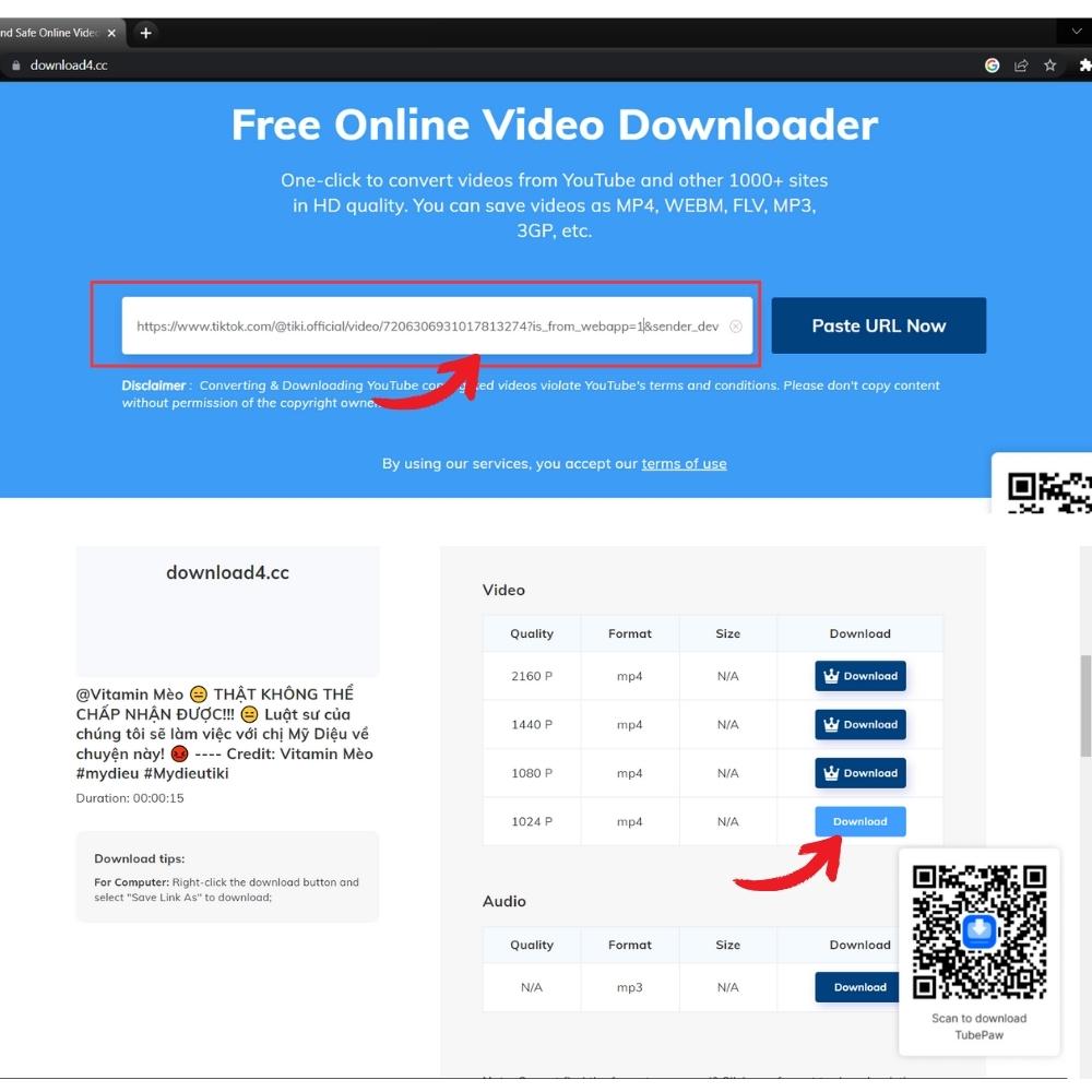 Bước 3 + 4: Dán link và chọn download theo hướng mũi tên