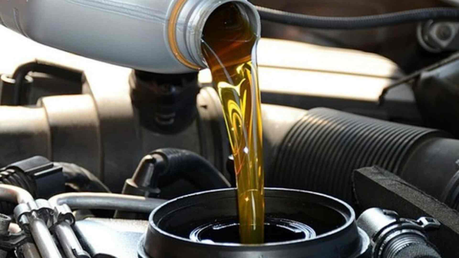 Sử dụng lyun hay dầu hoả là phương pháp diệt mối quen thuộc