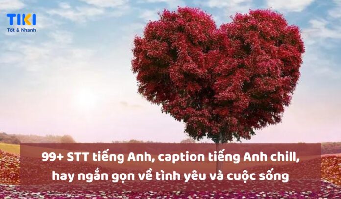 99+ STT tiếng Anh, caption tiếng Anh chill, hay ngắn gọn về tình yêu và cuộc sống