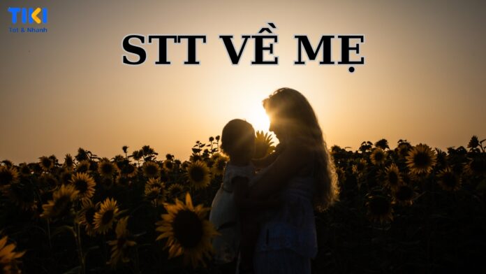 stt về mẹ