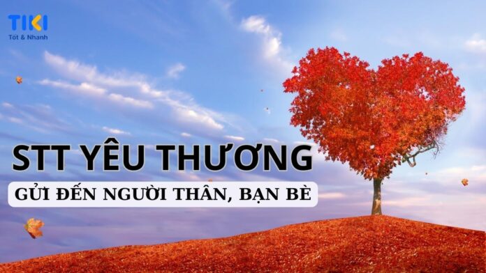 STT yêu thương