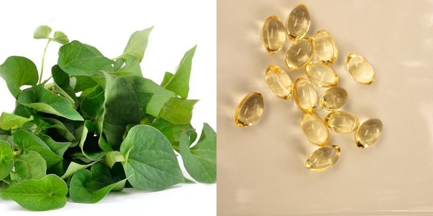 Mặt nạ rau diếp cá và Vitamin E giảm mụn, mờ thâm