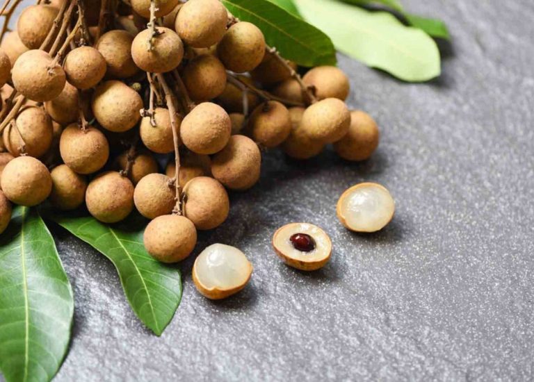 Ăn nhãn có béo không? Những công dụng tuyệt vời của nhãn