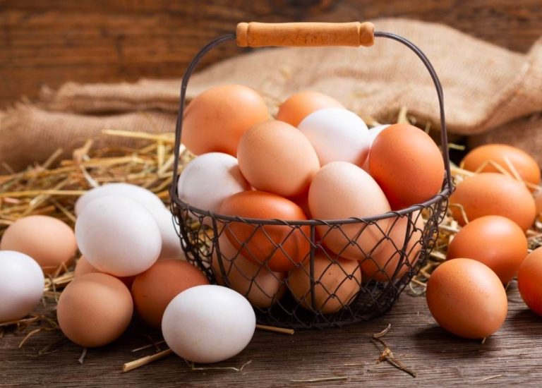 Ăn trứng có béo không? Cách ăn trứng giảm cân, những lưu ý cần biết