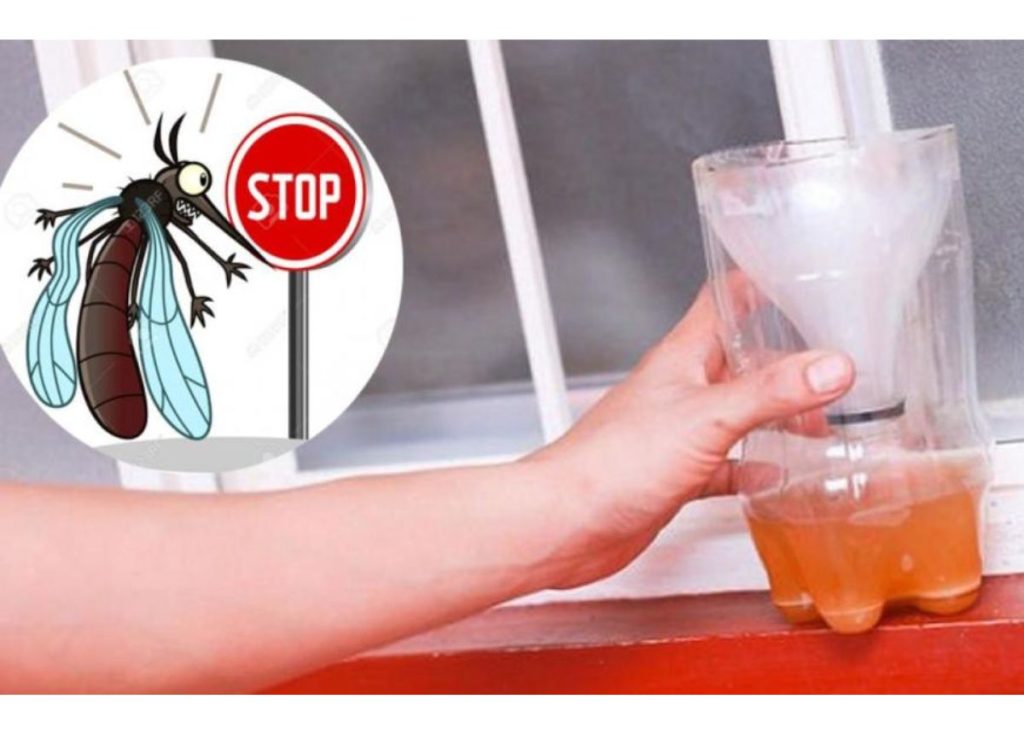 Tự thực hiện bẫy bắt con muỗi vì chưng baking soda 