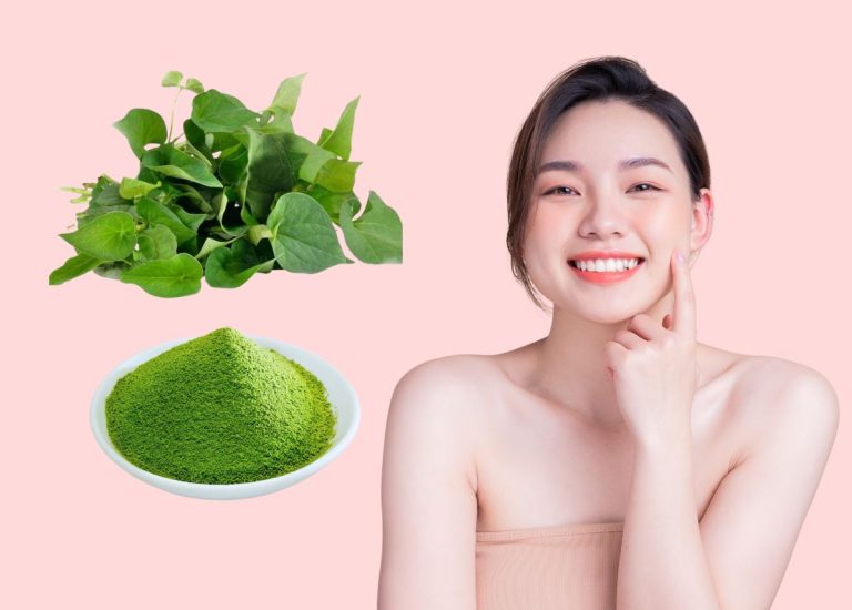 12 Cách dùng rau diếp cá trị mụn sạch, nhanh, hiệu quả
