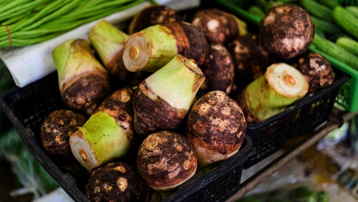 Chọn khoai môn có vẻ ngoài tròn đều để đảm bảo độ bùi và béo vừa phải 