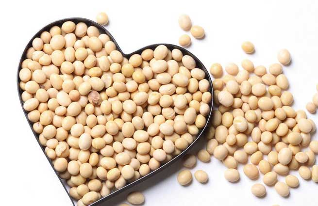 Protein đậu nành là một trong những cách bổ sung protein thay thế tốt nhất dành cho người ăn chay