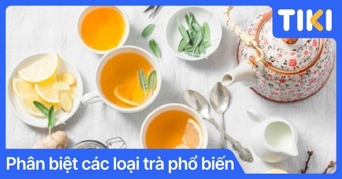 Phân biệt các loại trà phổ biến: Hướng dẫn chọn trà ngon tại nhà