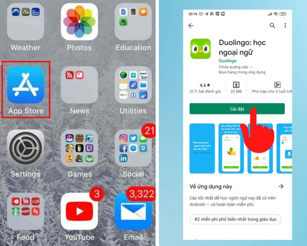 Cách tải Duolingo trên App Store 