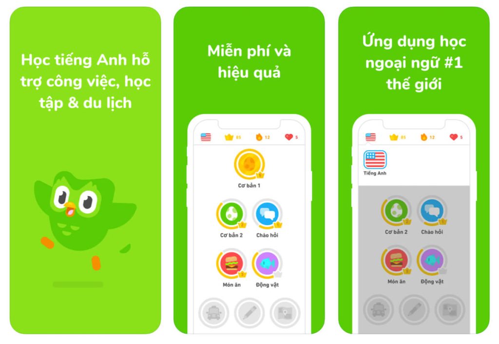 Duolingo có rất nhiều tính năng tuyệt vời