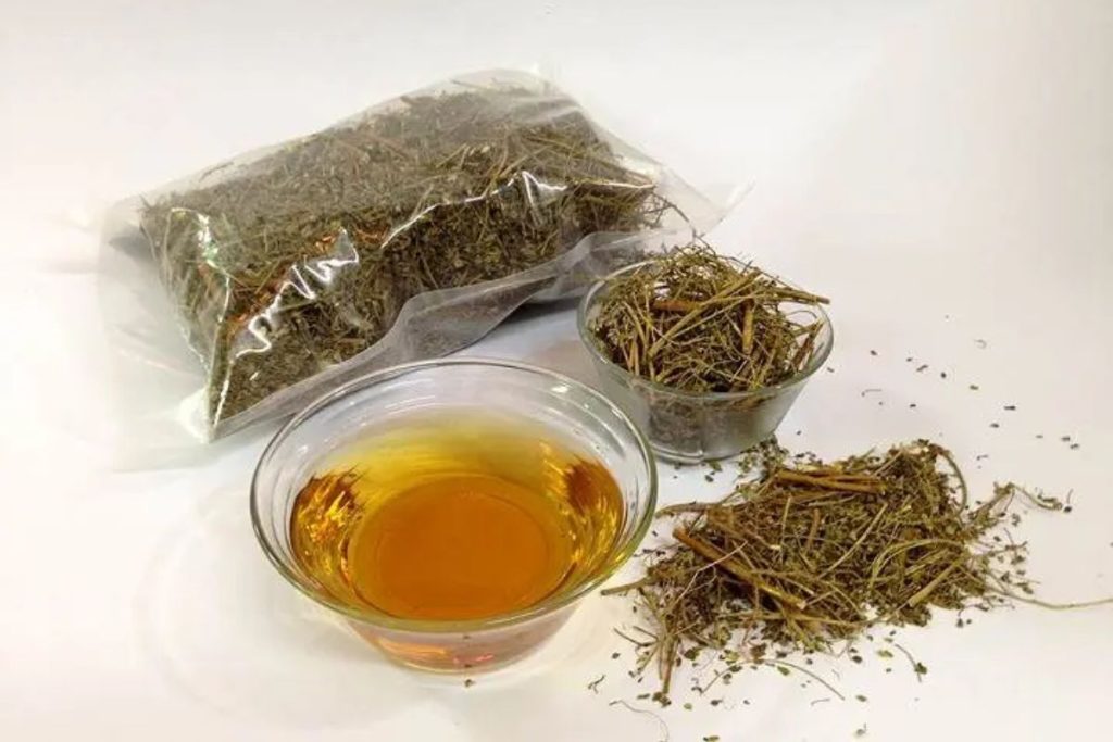 Vận chuyển diệp hạ châu khô qua Mỹ - Đúng chuẩn, nhanh chóng, an toàn