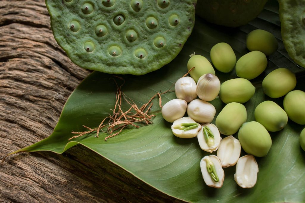 Giàu hàm lượng các chất magie, phốt pho, kali và protein