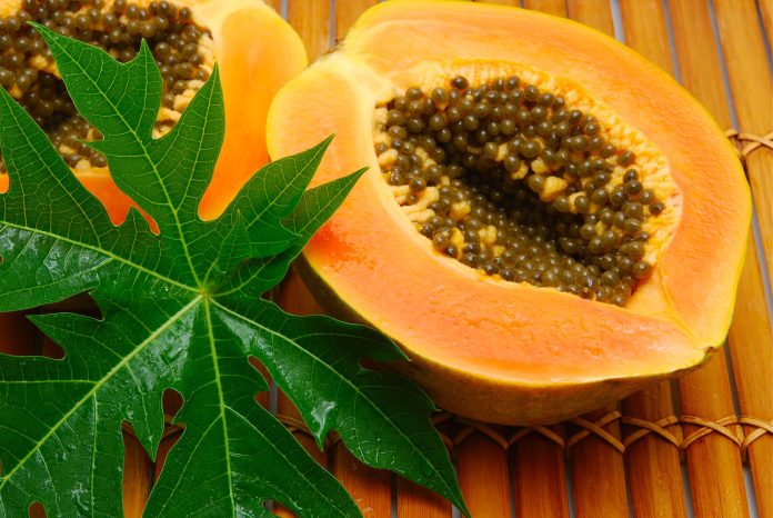 Lá đu đủ có tác dụng gì?