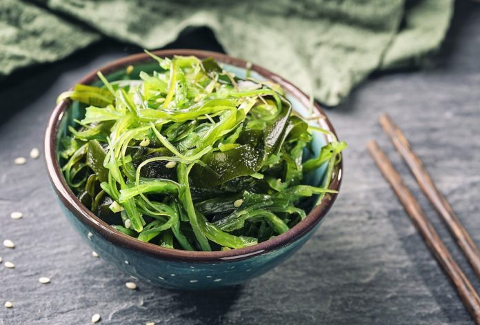 Lợi ích của rong biển với sức khỏe con người