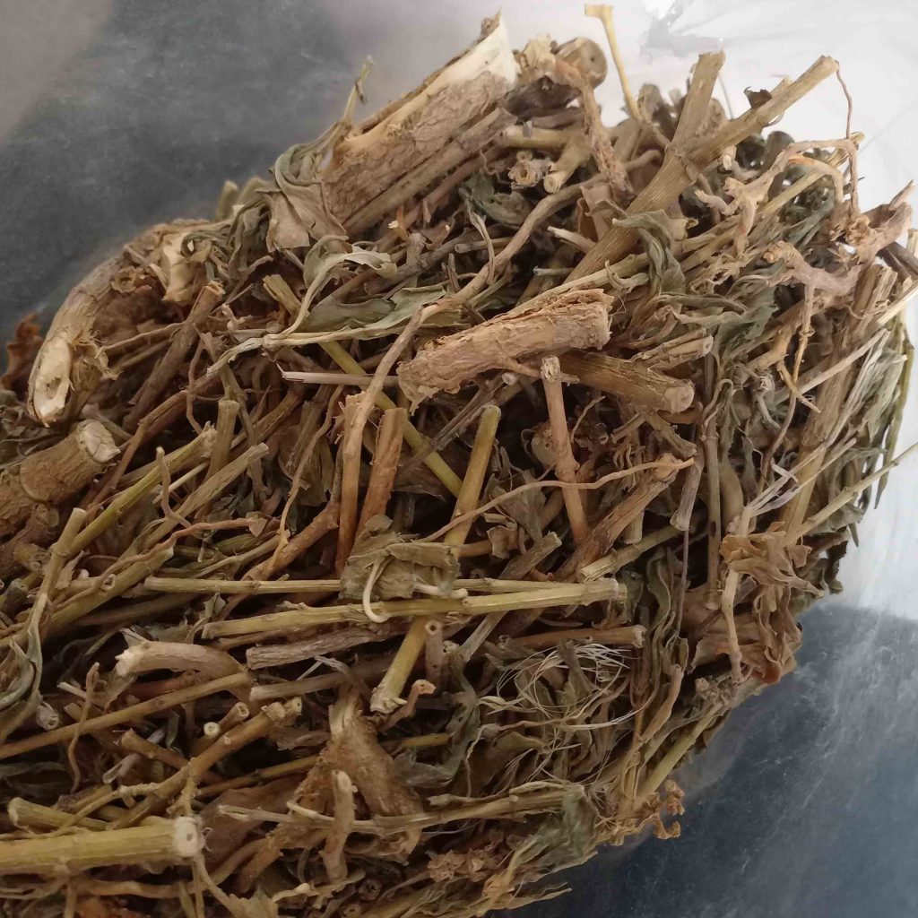 Cần thận trọng khi sử dụng cây dừa cạn