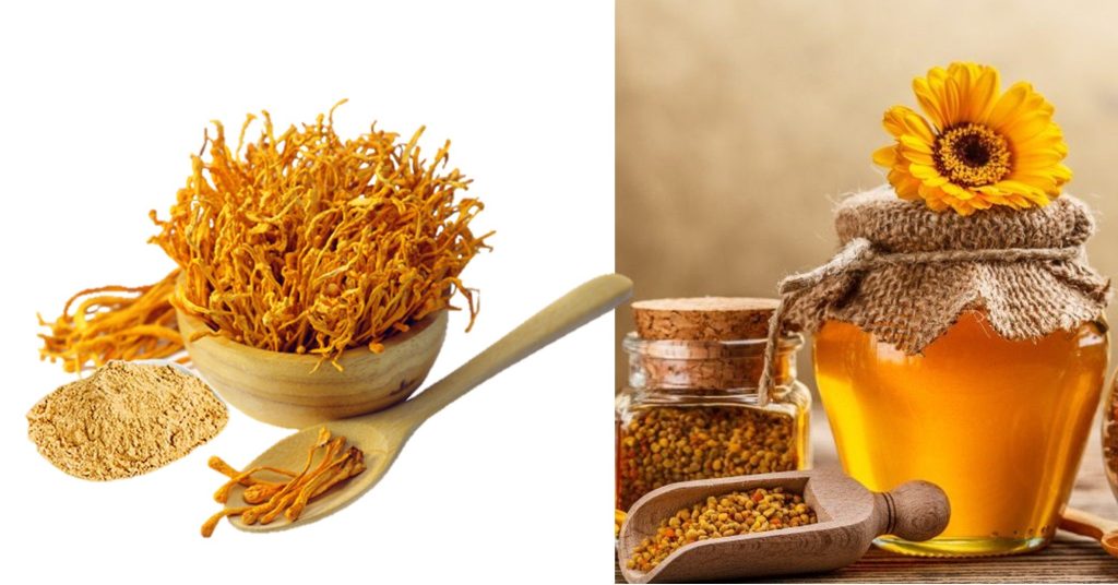 Nguyên liệu làm đông trùng hạ thảo ngâm mật ong