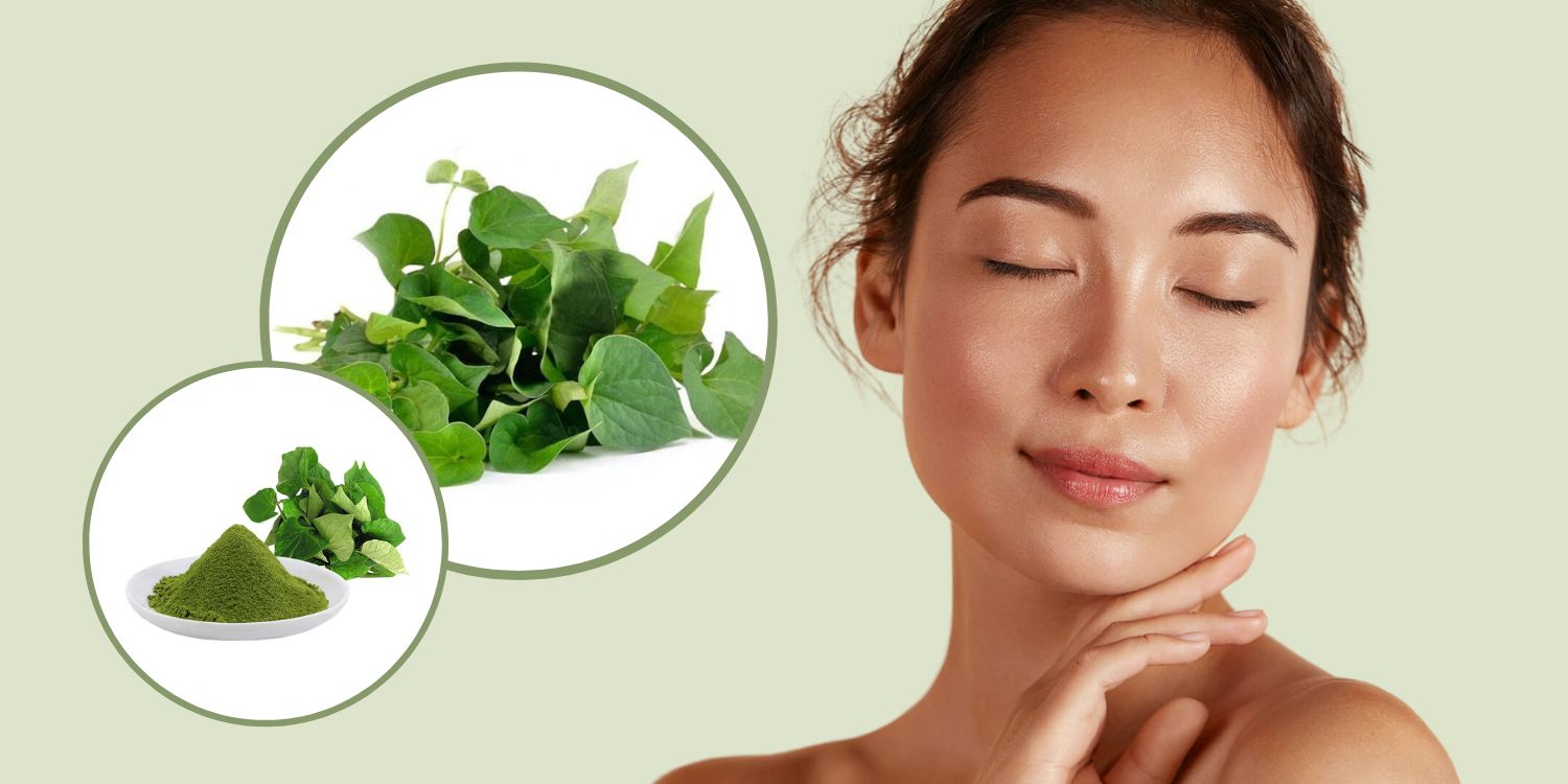 aloe vera trinkgel von lr LR Aloe Vera Drinking Gel Intense Sivera  LR VIP