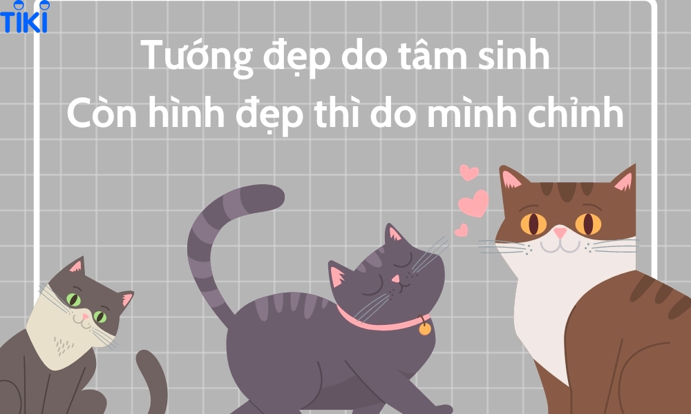 stt vui nhộn bá đạo