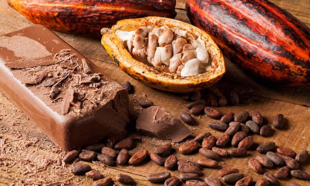 Uống cacao có tốt không? Uống cacao có tốt không?